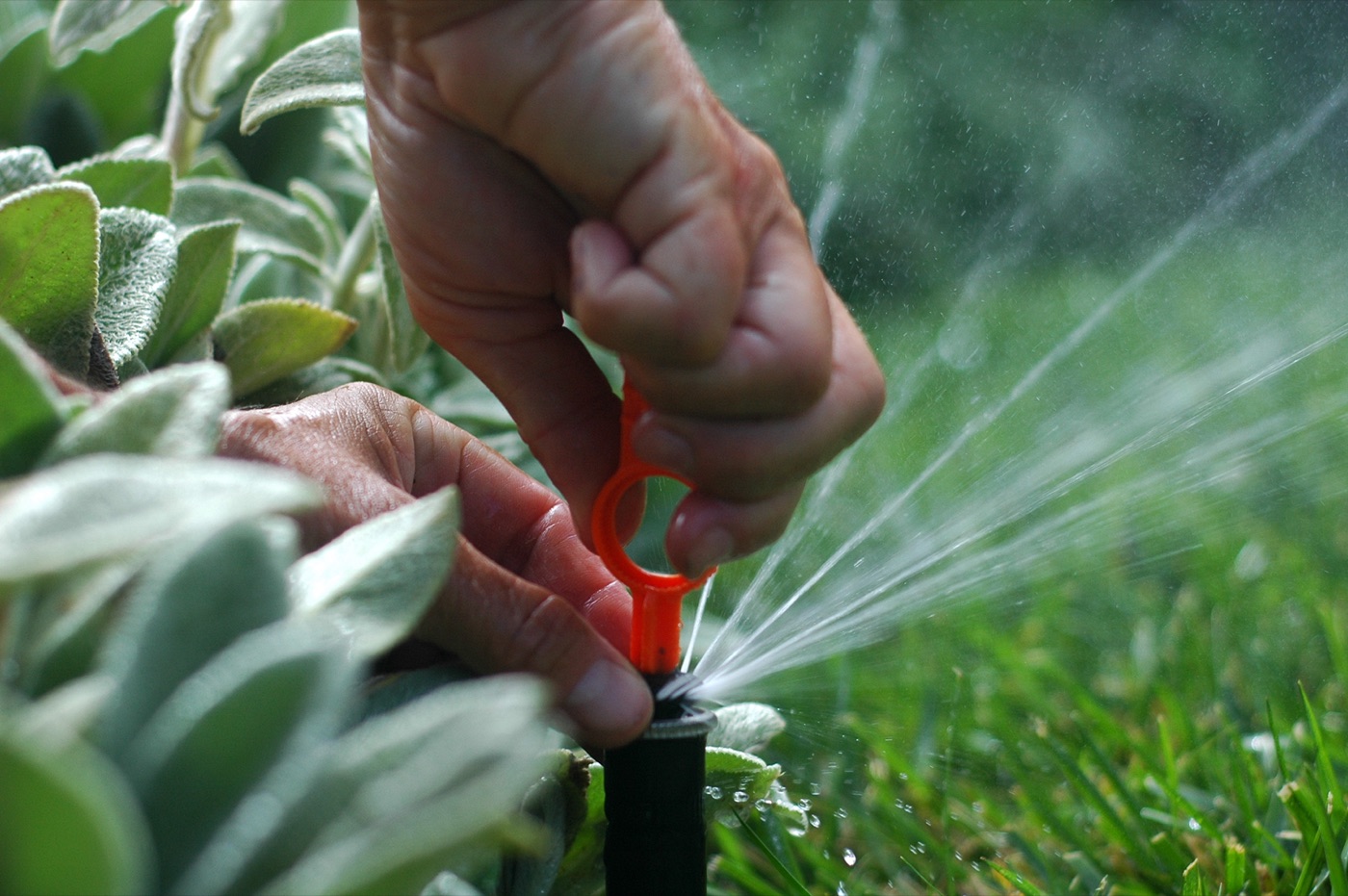 Adjusting a sprinkler head, Gainesville FL